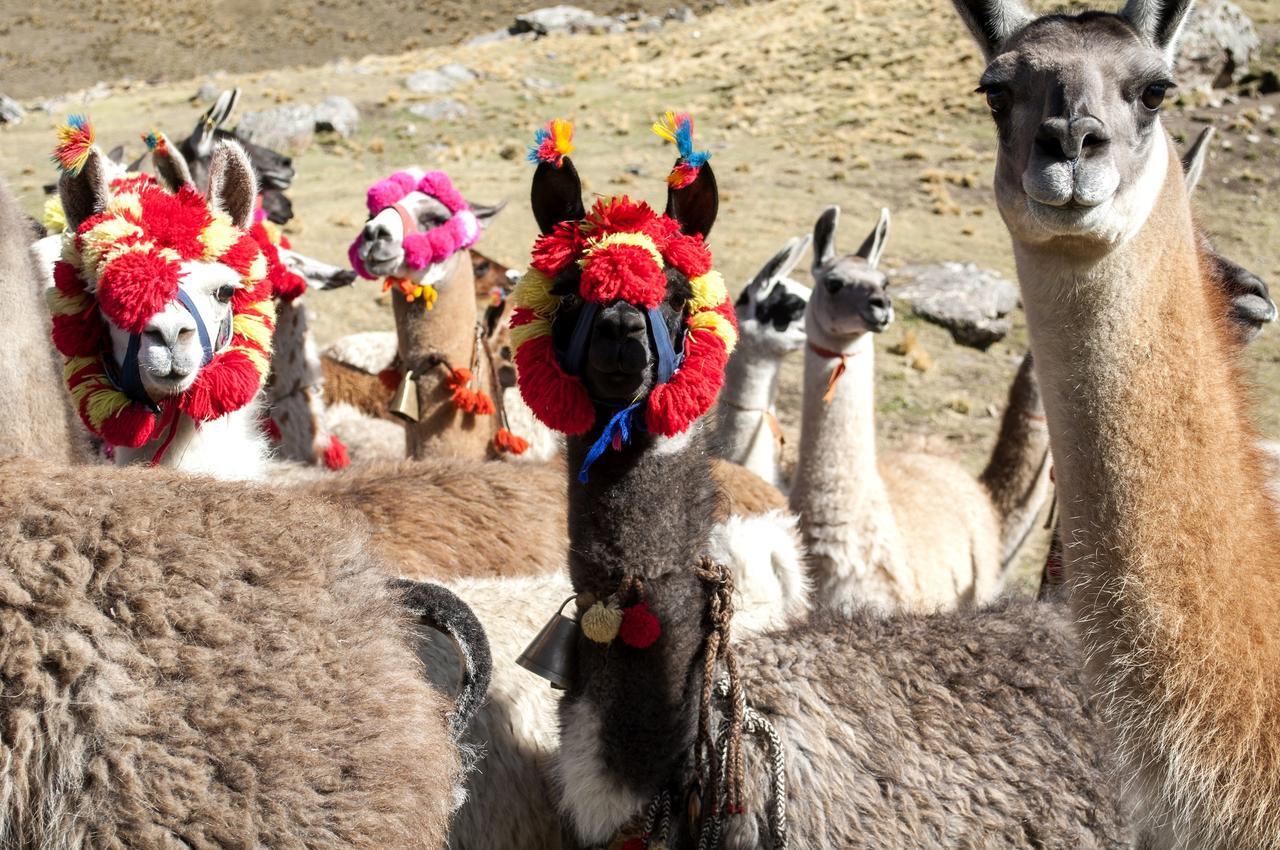 Hotel Gran Palma Huancayo Εξωτερικό φωτογραφία